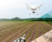 Penang Agricultural Policy Report 2020