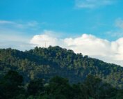 The Penang Hill Biosphere Reserve - Penang's Second UNESCO Inscription